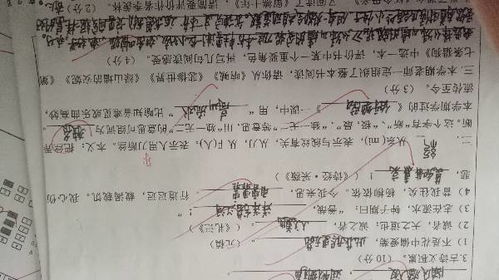 独组词有哪些词语