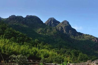 温州九山公园需要多少钱门票