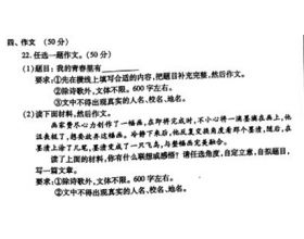 中考作文600字