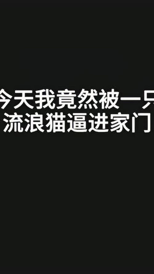 突然的自我吉他谱，突然的自我百度百科