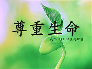 尊重生命