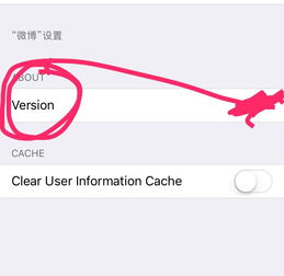 version是什么意思啊?