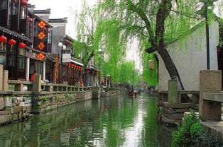 又绿江南岸中的绿是什么意思，又绿江南岸明月何时照我还前面是什么
