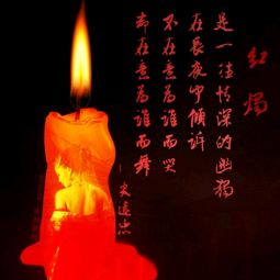 红烛泪粤曲，红烛泪陈瑞歌曲