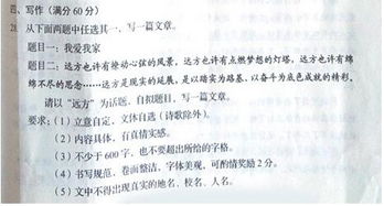 中招作文喊出XX的名字，河南省2023年中招作文