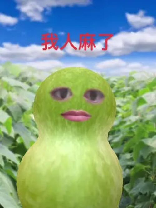 掐头去尾什么意思