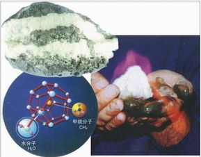 可燃冰是一种天然气水合物,其中的主要化学成分是?