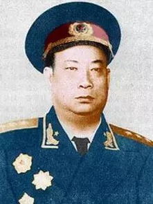 1955年_1965年授衔的开国将帅中独臂将军有多少位?