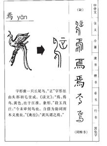 心不在焉的拼音