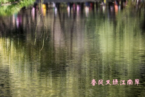 春风又绿江南岸的上一句是什么