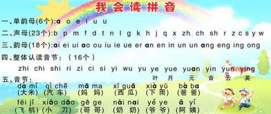 大的拼音是什么?