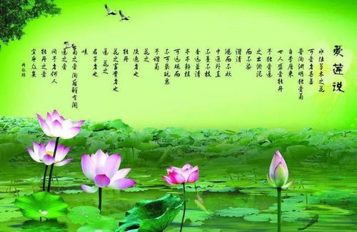 爱莲说的主旨是什么