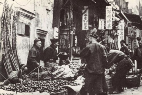 总督是几品官，总督察