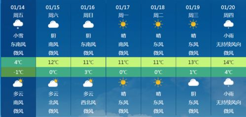 怎样写好科学小论文。快快快快快!
