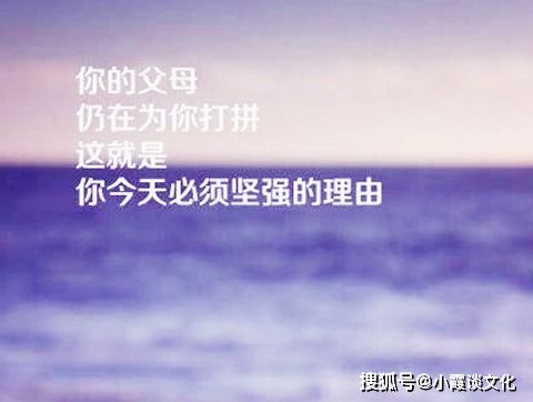 态度决定一切的感悟简短句，态度决定一切的感悟作文