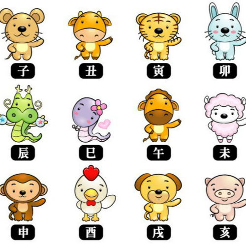 十二生肖排行顺序图片，十二生肖排行老六的动物
