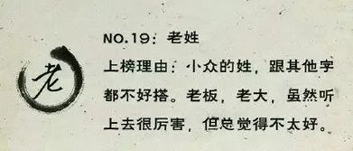 老姓全国有多少人口，老挝阿胜