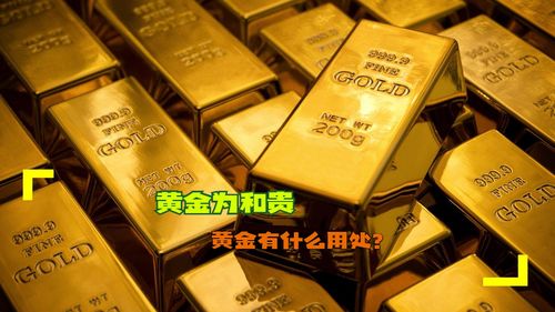 和贵楼，和贵阳app下载安装