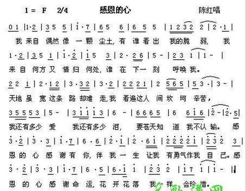 关于《感恩的心》的歌词