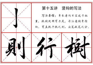挑的笔顺和拼音，兴的笔顺