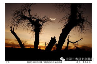 呼唤生命电视剧全集剧情，呼唤生命俄剧