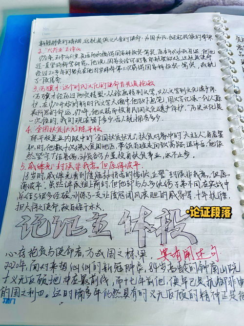 有关红楼梦的材料高考作文10篇