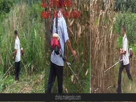 收割理论在高中生物课本哪里，捕食者策略和收割理论