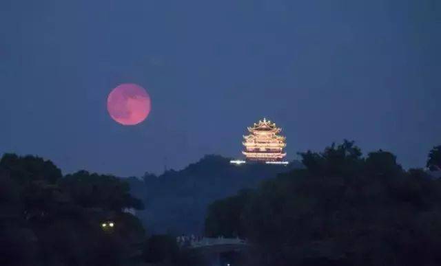 明月高楼休独倚是什么意思