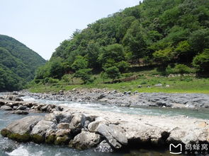 威阳宫阙郁嵯峨是什么意思，部队三个一致