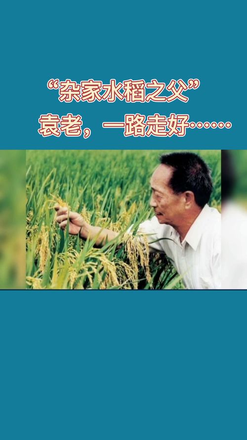 缅怀的意思