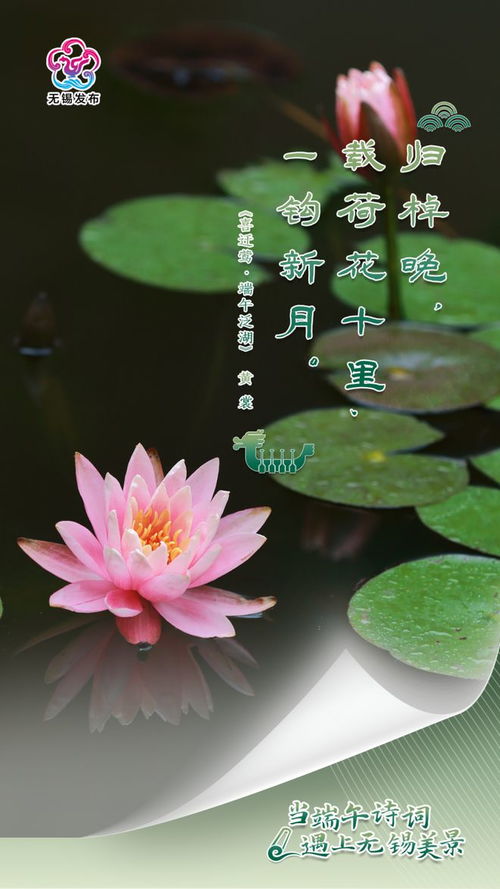 悦目的意思