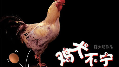 什么不宁四字成语带数字的，什么不宁成语大全