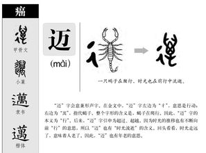迈的拼音组词部首，迈的拼音组词部首音序