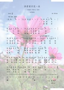 找一首歌歌词有花间自有情义多 出自西游记插曲,孔雀公主