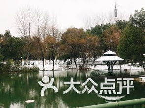 常州翠竹公园，深圳罗湖翠竹公园