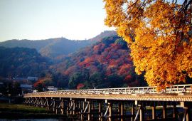 京都天气预报15天查询，京都天气预报一周 7天查询
