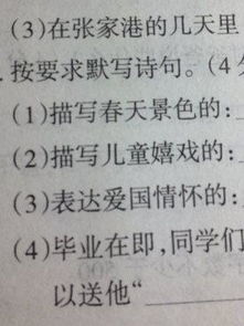 爱国之情的诗句