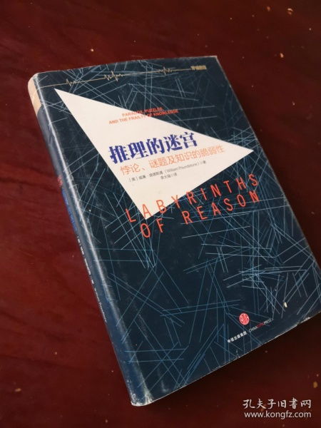 推理的迷宫读后感，推理的迷宫pdf百度云