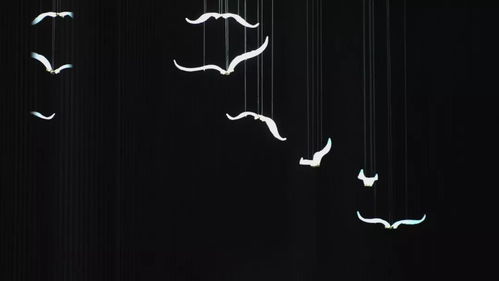 斗转星移什么意思 斗转星移意思是什么