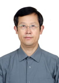 陆文婷是哪部作品中的人物