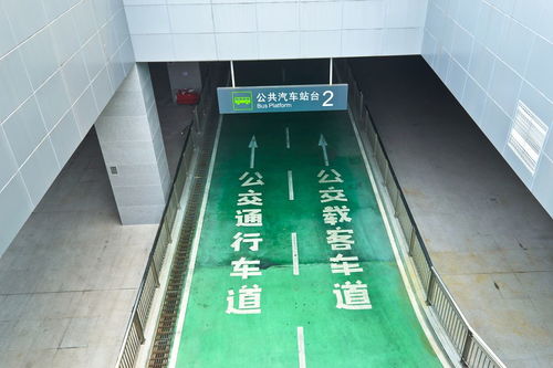 bookshelf的复数，shelf的复数怎么变