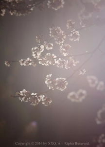 芳草鲜美鲜美的古义和今义是什么?