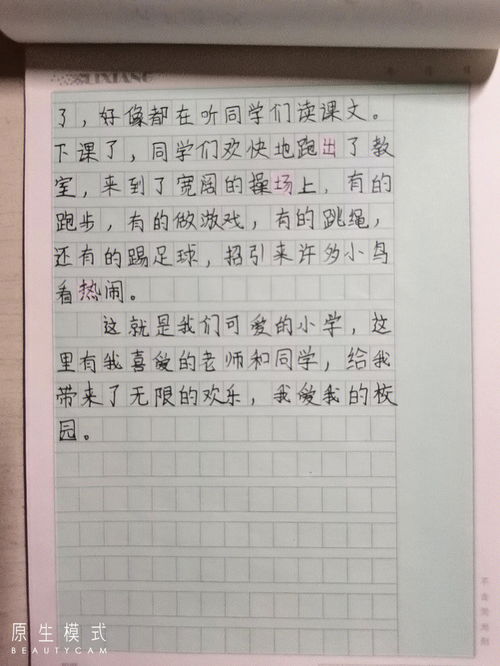 三年级的作文怎么样辅导，三年级的作文300个字以上的作文