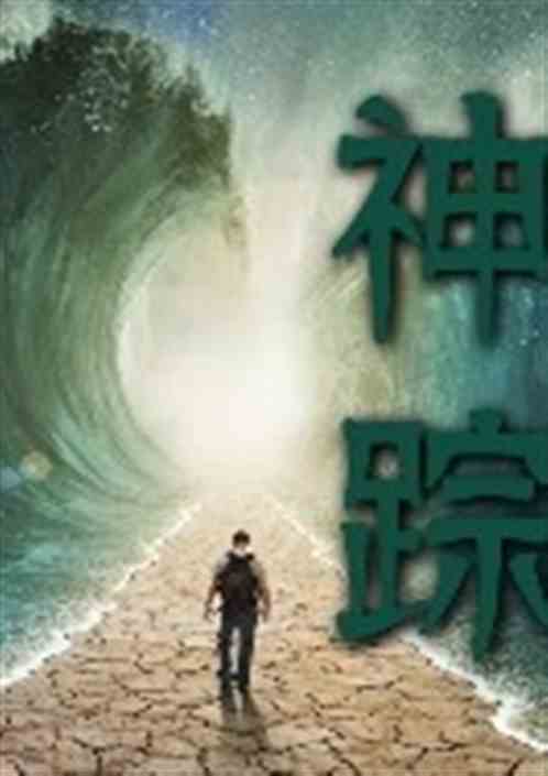 《神踪》最新txt全集下载