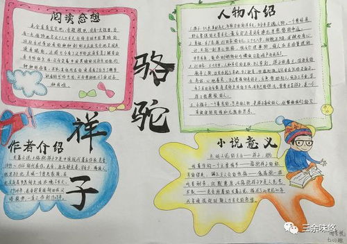 骆驼祥子的手抄报内容，骆驼祥子的手抄报怎么做