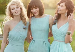 bridesmaids，bridesmaids翻译
