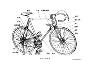 自行车怎么拼音的
