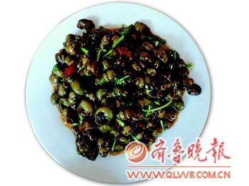 油子虫学名叫什么，油子功效和作用