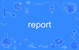 report是什么意思