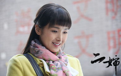 二婶电视剧全集剧情介绍，二婶电视剧演员表